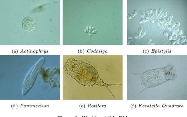 Figure 4 for Segmentation of Weakly Visible Environmental Microorganism Images Using Pair-wise Deep Learning Features