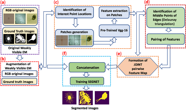 Figure 1 for Segmentation of Weakly Visible Environmental Microorganism Images Using Pair-wise Deep Learning Features