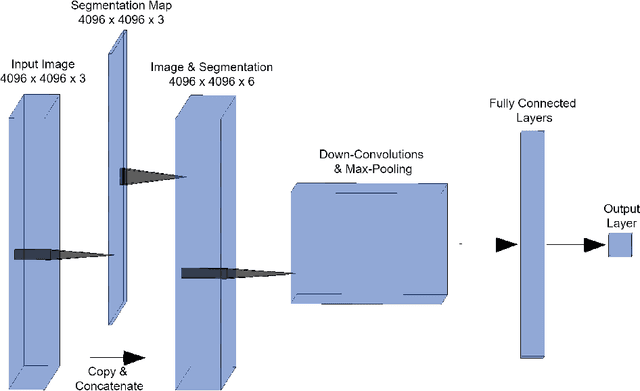 Figure 3 for Semantic Segmentation of Histopathological Slides for the Classification of Cutaneous Lymphoma and Eczema