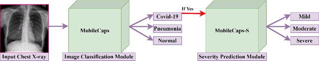 Figure 3 for MobileCaps: A Lightweight Model for Screening and Severity Analysis of COVID-19 Chest X-Ray Images