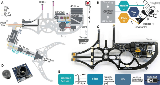 Figure 3 for How ornithopters can perch autonomously on a branch