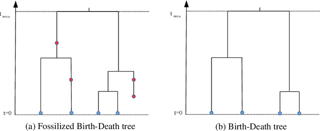 Figure 2 for Three tree priors and five datasets: A study of the effect of tree priors in Indo-European phylogenetics