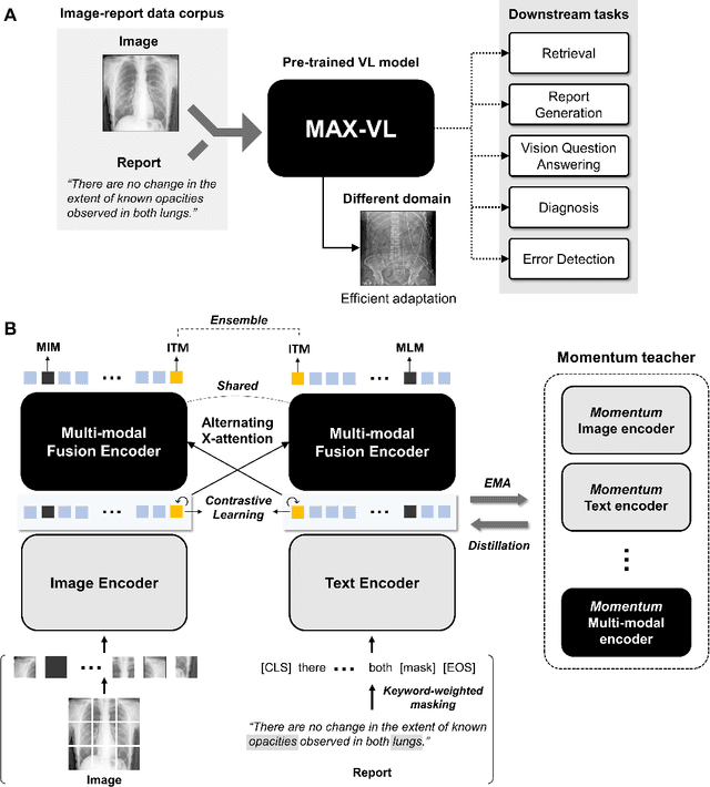 Figure 1 for Alternating Cross-attention Vision-Language Model for Efficient Learning with Medical Image and Report without Curation