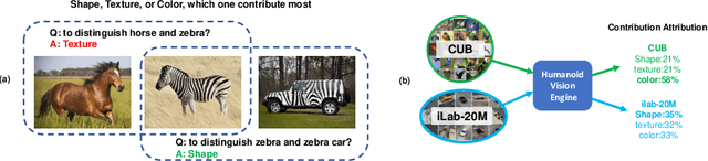 Figure 1 for Contributions of Shape, Texture, and Color in Visual Recognition