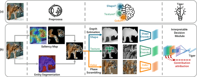 Figure 3 for Contributions of Shape, Texture, and Color in Visual Recognition