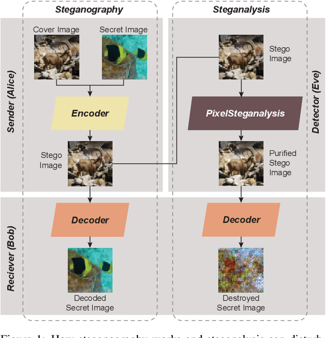 Figure 1 for PixelSteganalysis: Pixel-wise Hidden Information Removal with Low Visual Degradation