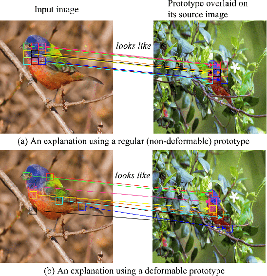 Figure 1 for Deformable ProtoPNet: An Interpretable Image Classifier Using Deformable Prototypes