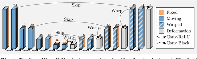 Figure 1 for SuperWarp: Supervised Learning and Warping on U-Net for Invariant Subvoxel-Precise Registration