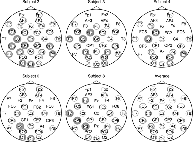 Figure 4 for Mixed-norm Regularization for Brain Decoding