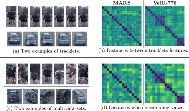 Figure 1 for Robust Re-Identification by Multiple Views Knowledge Distillation