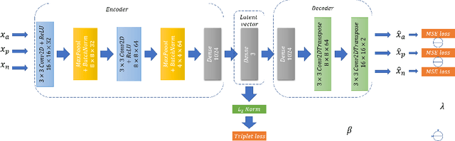 Figure 3 for Automatic Segmentation of Muscle Tissue and Inter-muscular Fat in Thigh and Calf MRI Images