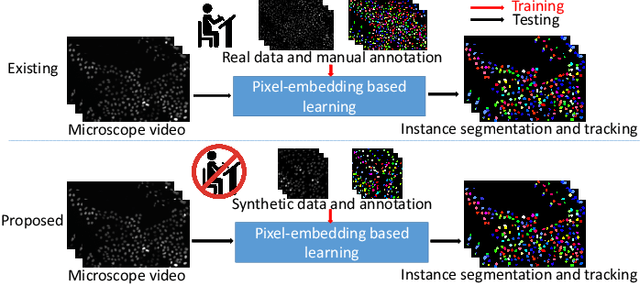 Figure 1 for Towards Annotation-free Instance Segmentation and Tracking with Adversarial Simulations