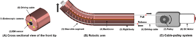Figure 1 for Autonomous Intraluminal Navigation of a Soft Robot using Deep-Learning-based Visual Servoing