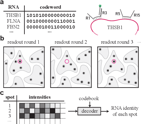 Figure 1 for A Coding Theory Perspective on Multiplexed Molecular Profiling of Biological Tissues