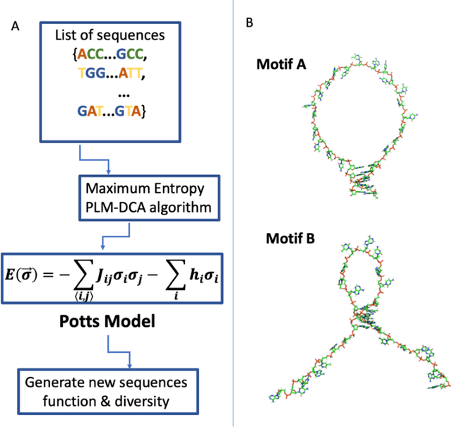 Figure 1 for Diversifying Design of Nucleic Acid Aptamers Using Unsupervised Machine Learning