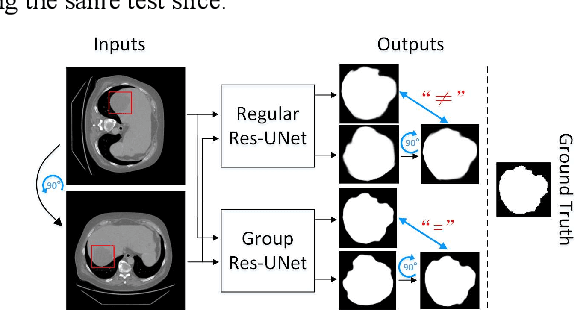 Figure 1 for Beyond CNNs: Exploiting Further Inherent Symmetries in Medical Images for Segmentation