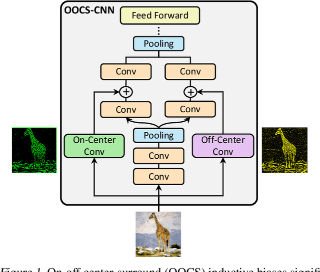 Figure 1 for On-Off Center-Surround Receptive Fields for Accurate and Robust Image Classification