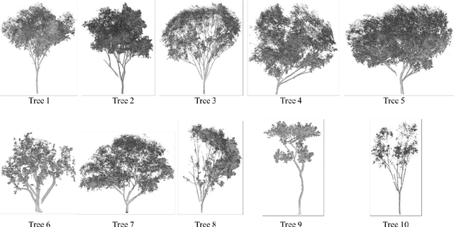 Figure 2 for Automatic sampling and training method for wood-leaf classification based on tree terrestrial point cloud