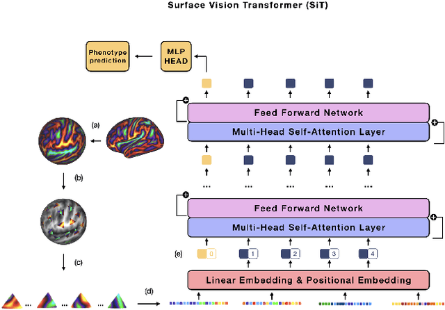 Figure 1 for Surface Analysis with Vision Transformers