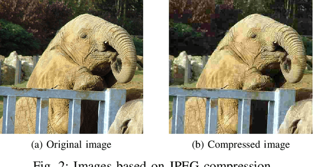 Figure 2 for Feature-Filter: Detecting Adversarial Examples through Filtering off Recessive Features