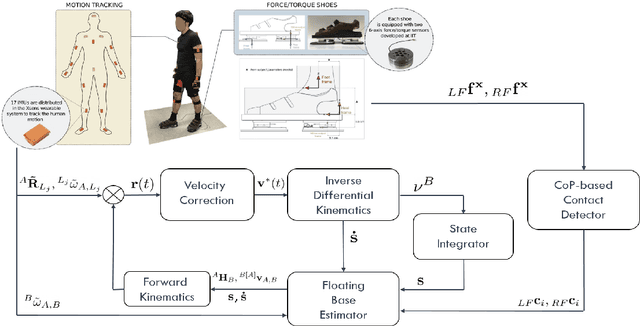 Figure 2 for Whole-Body Human Kinematics Estimation using Dynamical Inverse Kinematics and Contact-Aided Lie Group Kalman Filter