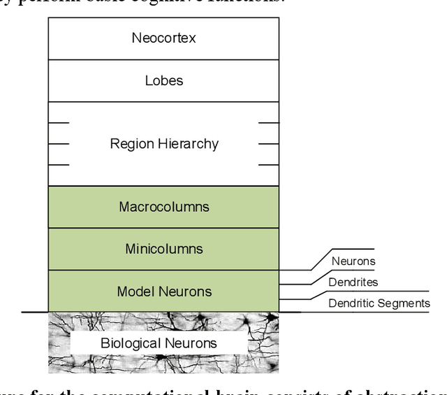 Figure 1 for A Macrocolumn Architecture Implemented with Temporal (Spiking) Neurons