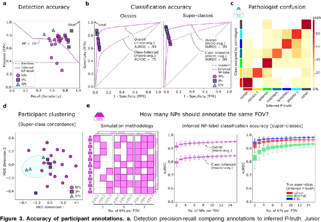 Figure 4 for NuCLS: A scalable crowdsourcing, deep learning approach and dataset for nucleus classification, localization and segmentation