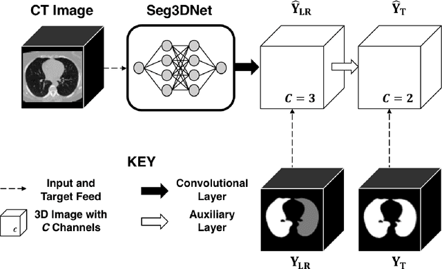 Figure 3 for CT Image Segmentation for Inflamed and Fibrotic Lungs Using a Multi-Resolution Convolutional Neural Network