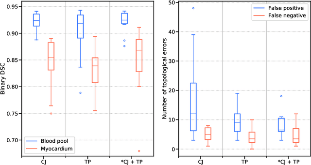 Figure 4 for Topology-preserving augmentation for CNN-based segmentation of congenital heart defects from 3D paediatric CMR