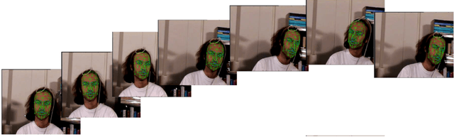 Figure 3 for 3D Face Pose and Animation Tracking via Eigen-Decomposition based Bayesian Approach