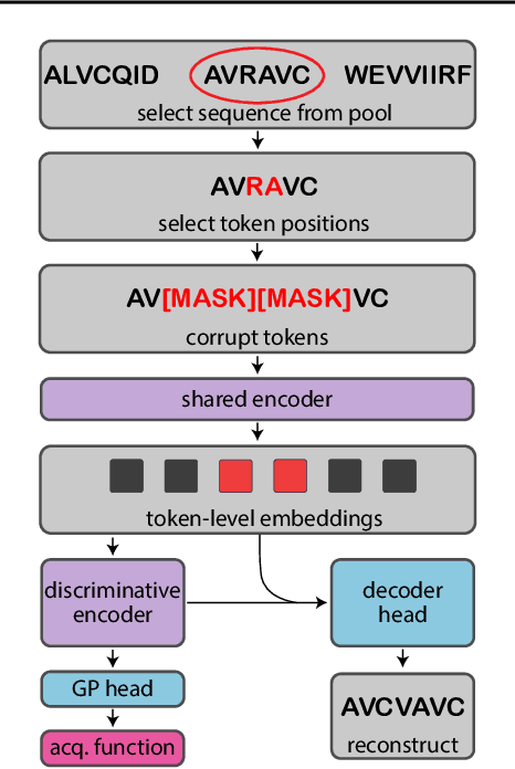 Figure 2 for Accelerating Bayesian Optimization for Biological Sequence Design with Denoising Autoencoders