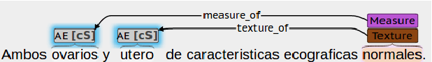 Figure 2 for Creation of an Annotated Corpus of Spanish Radiology Reports