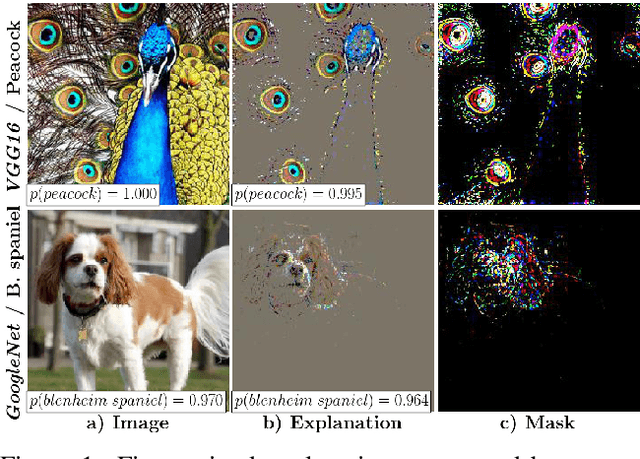 Figure 1 for Interpretable and Fine-Grained Visual Explanations for Convolutional Neural Networks