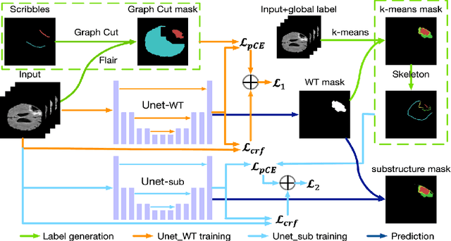 Figure 1 for Scribble-based Hierarchical Weakly Supervised Learning for Brain Tumor Segmentation