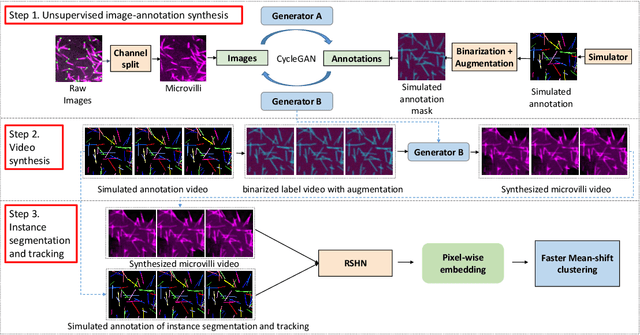 Figure 3 for ASIST: Annotation-free synthetic instance segmentation and tracking for microscope video analysis