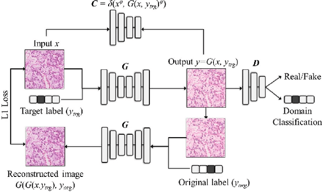 Figure 1 for MultiPathGAN: Structure Preserving Stain Normalization using Unsupervised Multi-domain Adversarial Network with Perception Loss