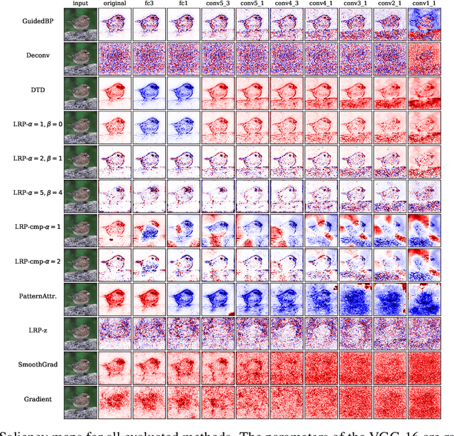 Figure 1 for When Explanations Lie: Why Modified BP Attribution Fails