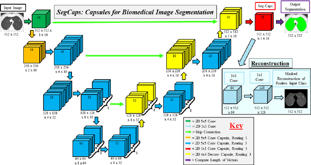 Figure 4 for Capsules for Biomedical Image Segmentation