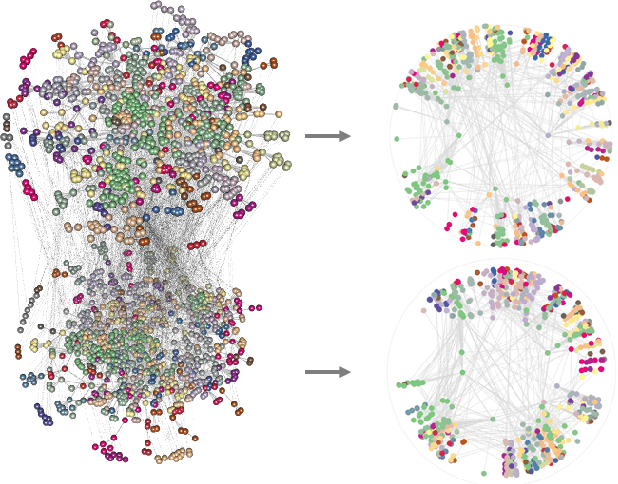 Figure 1 for Hyperbolic Multiplex Network Embedding with Maps of Random Walk