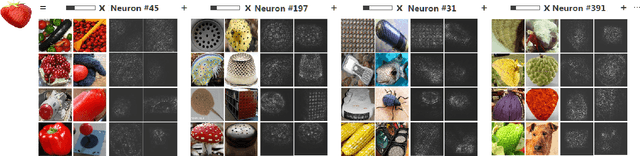 Figure 4 for Do Convolutional Neural Networks Learn Class Hierarchy?