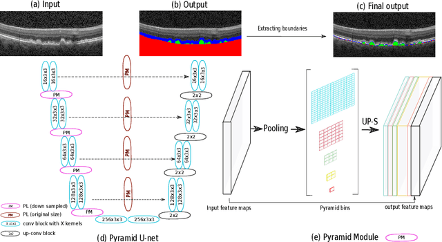 Figure 1 for U-Net with spatial pyramid pooling for drusen segmentation in optical coherence tomography