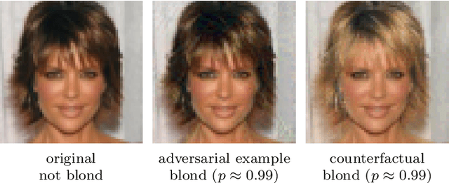 Figure 1 for Diffeomorphic Counterfactuals with Generative Models