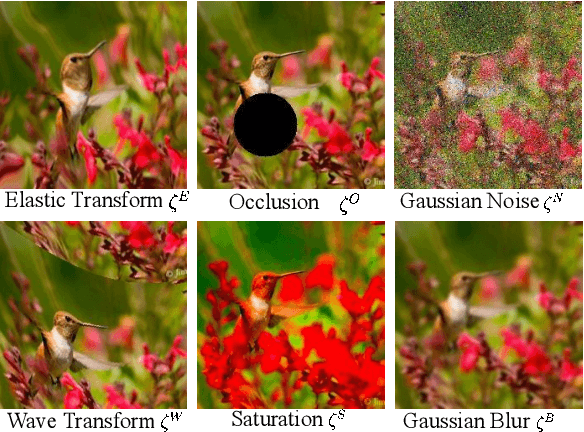 Figure 3 for Natural Perturbed Training for General Robustness of Neural Network Classifiers