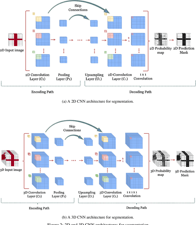 Figure 3 for Medical Image Segmentation using 3D Convolutional Neural Networks: A Review