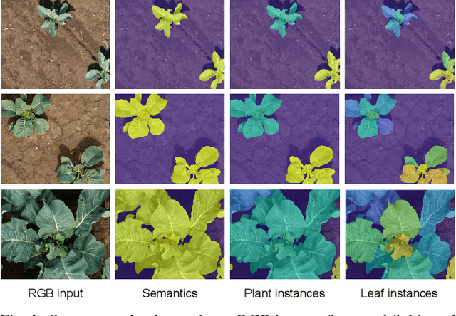 Figure 1 for Hierarchical Approach for Joint Semantic, Plant Instance, and Leaf Instance Segmentation in the Agricultural Domain
