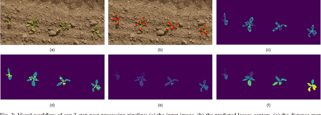 Figure 3 for Hierarchical Approach for Joint Semantic, Plant Instance, and Leaf Instance Segmentation in the Agricultural Domain