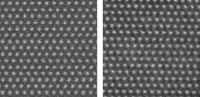 Figure 3 for Joint denoising and distortion correction of atomic scale scanning transmission electron microscopy images
