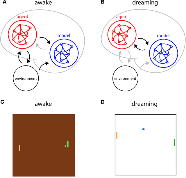 Figure 1 for Towards biologically plausible Dreaming and Planning