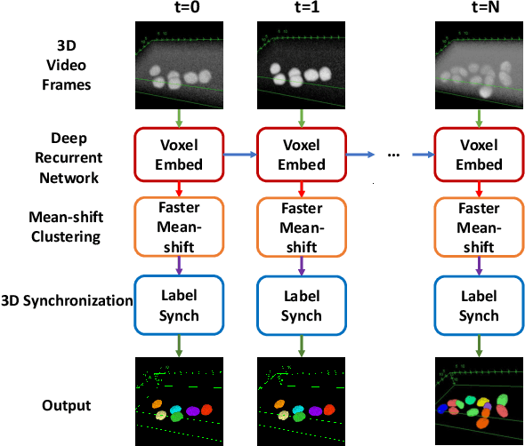 Figure 1 for VoxelEmbed: 3D Instance Segmentation and Tracking with Voxel Embedding based Deep Learning