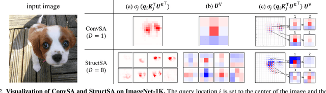 Figure 3 for Learning Correlation Structures for Vision Transformers